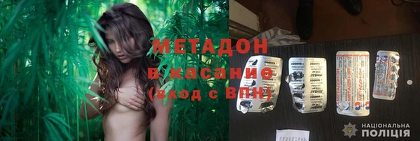 амф Гусь-Хрустальный