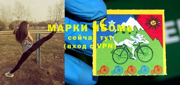 прущий лед Арсеньев