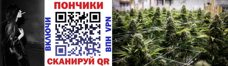 МАРИХУАНА Amnesia  Динская 